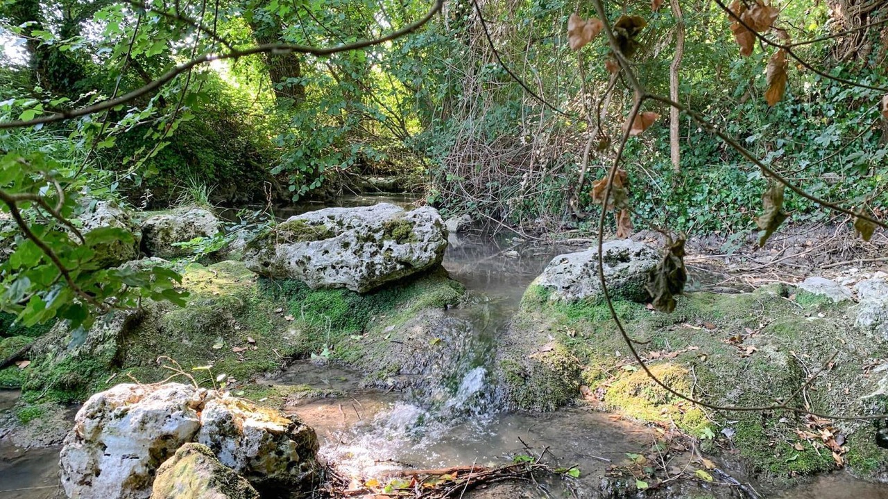 Photo of Others in Monsac