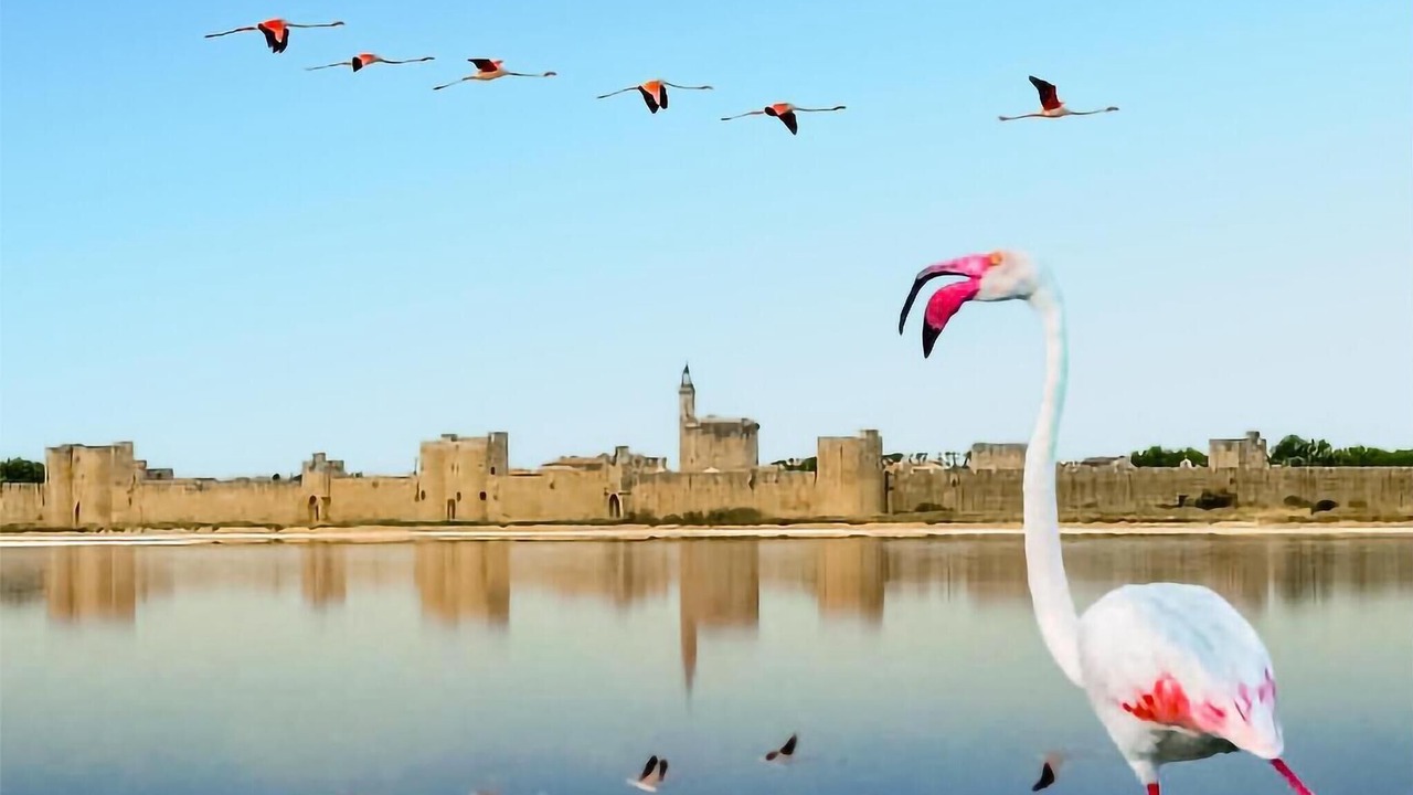 Photo of Others in Cabannes