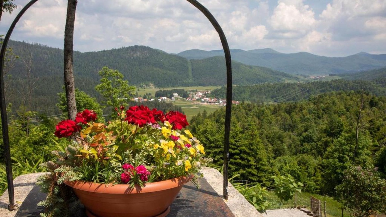 Photo of Others in Brestova Draga