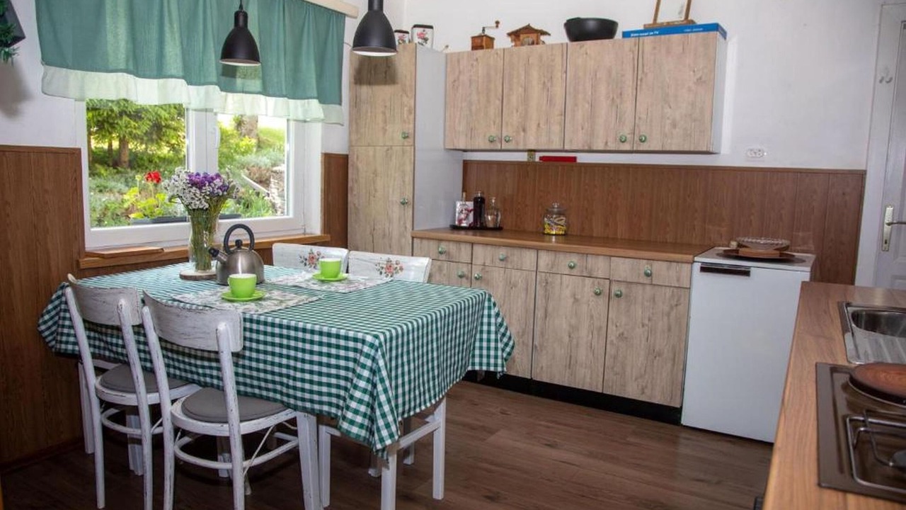 Photo of Kitchen in Brestova Draga