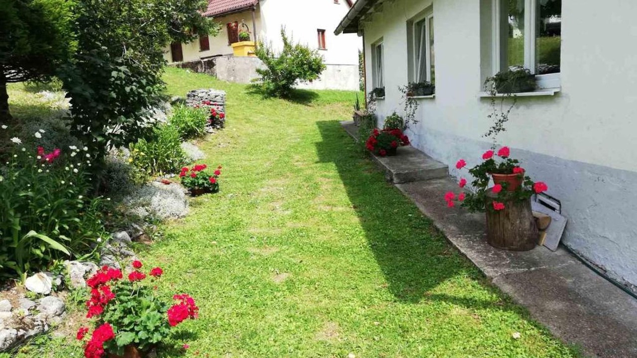 Photo of Outdoor in Brestova Draga