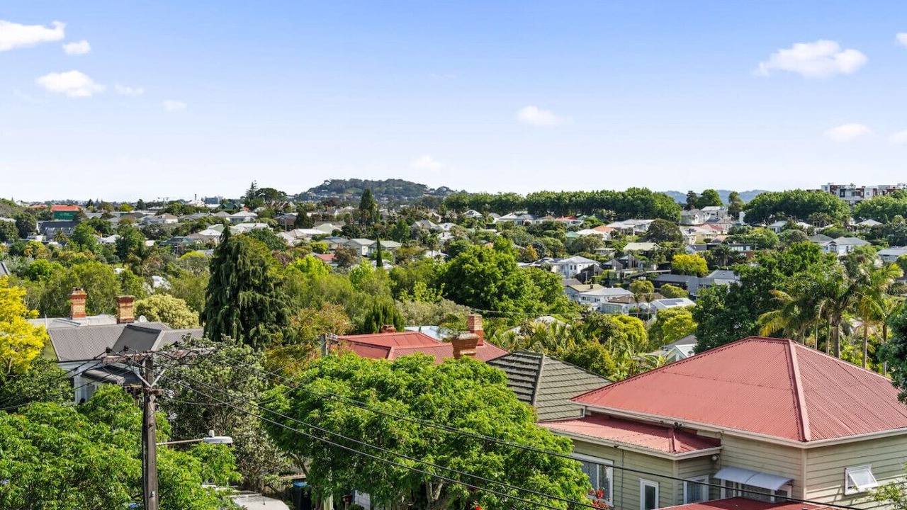 Photo of Others in Grey Lynn