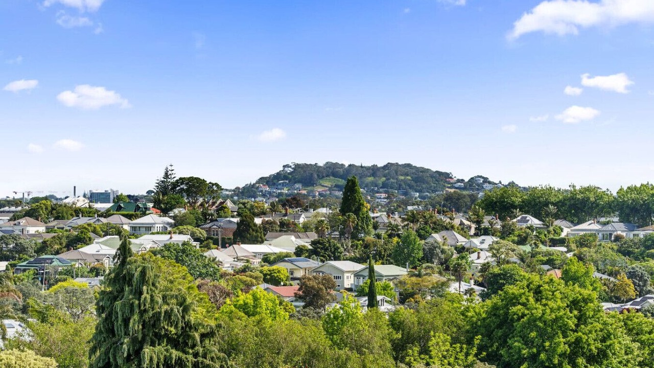 Photo of Others in Grey Lynn