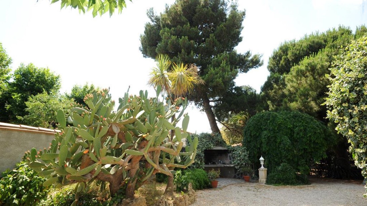 Photo of Outdoor in Sainte-Marie-la-Mer