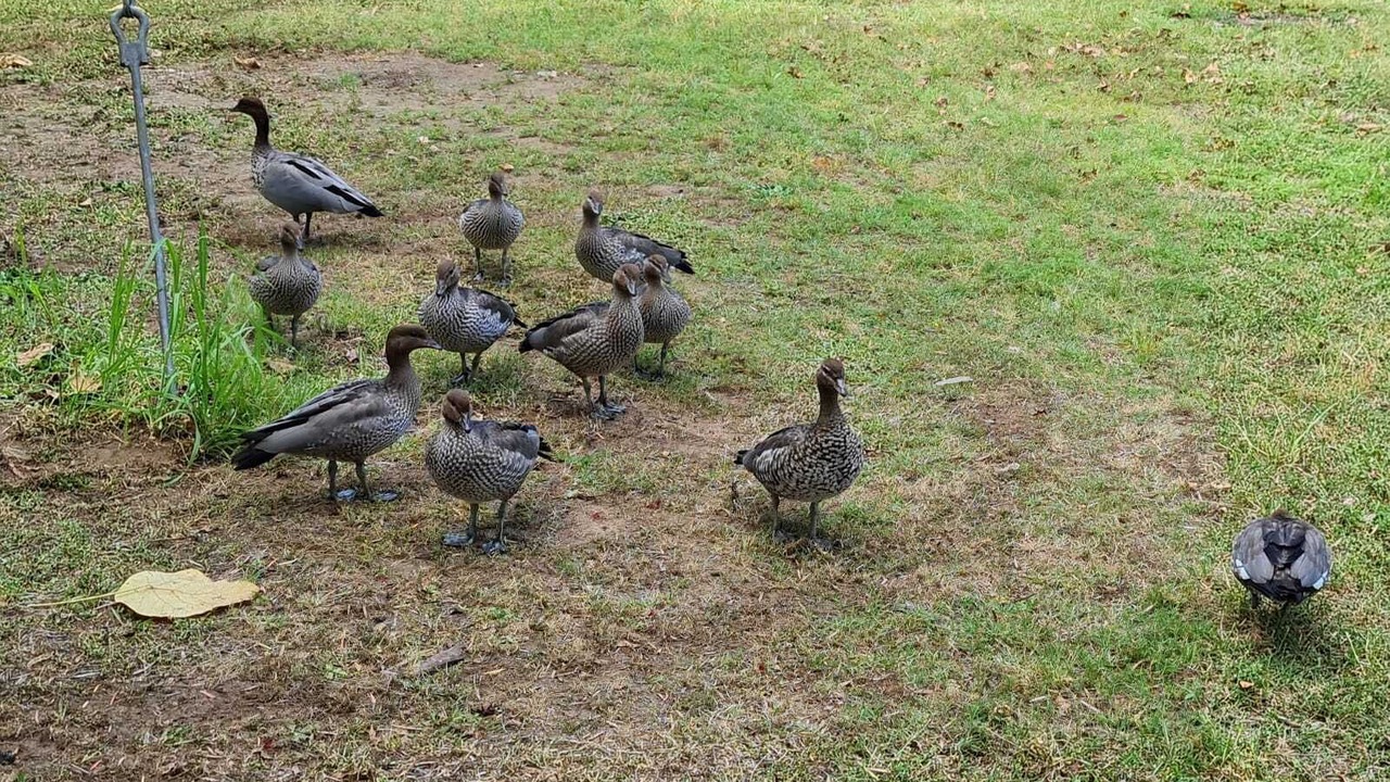 Photo of Others in Rainbow Flat
