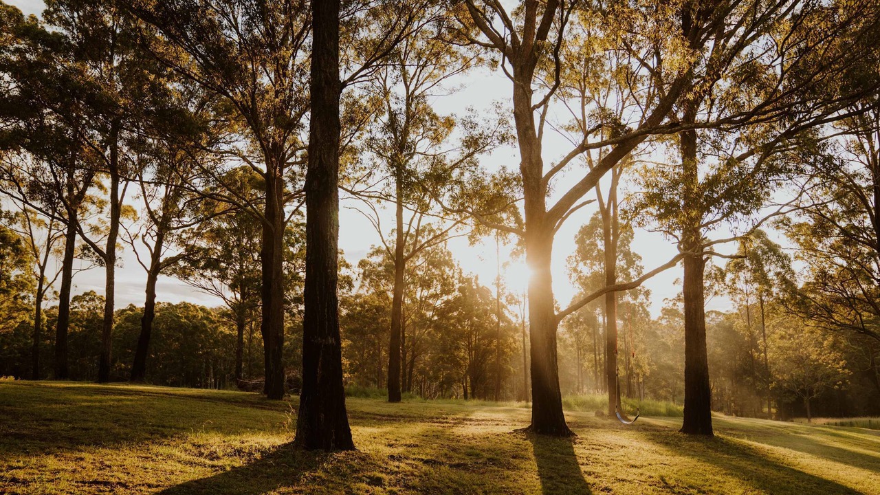 Photo of Others in Rainbow Flat