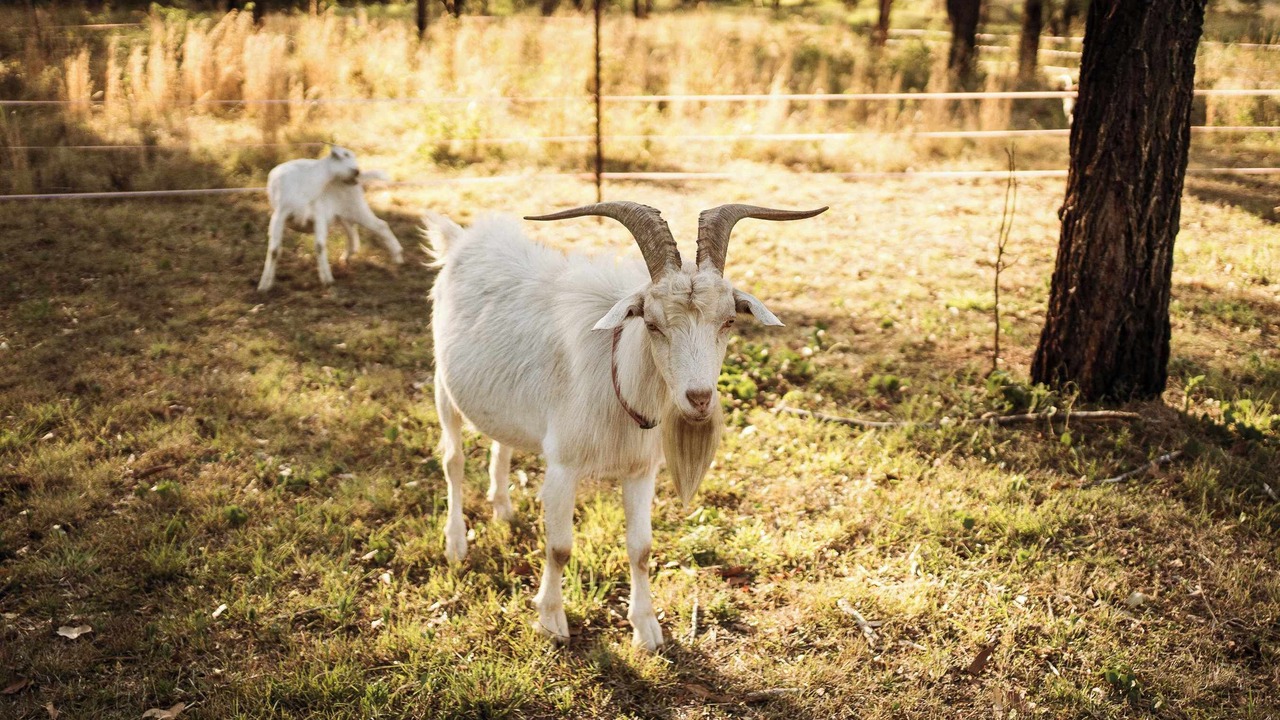 Photo of Others in Rainbow Flat