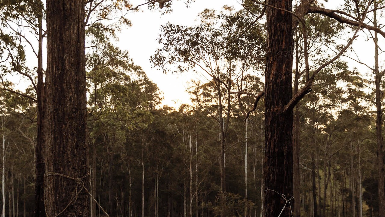 Photo of Others in Rainbow Flat