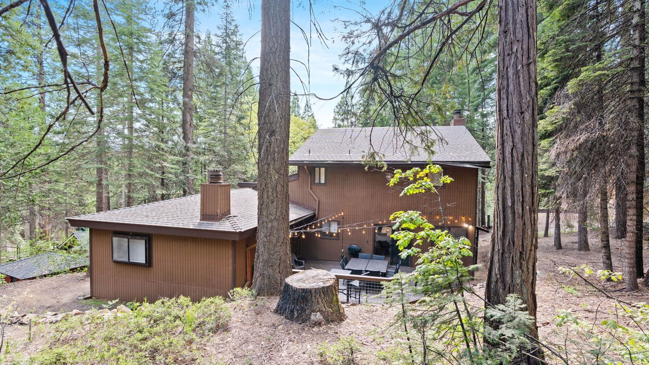 Photo of Outdoor in Sugar Pine