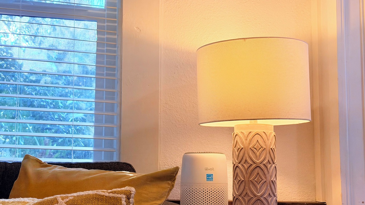 Photo of Others in Orlando