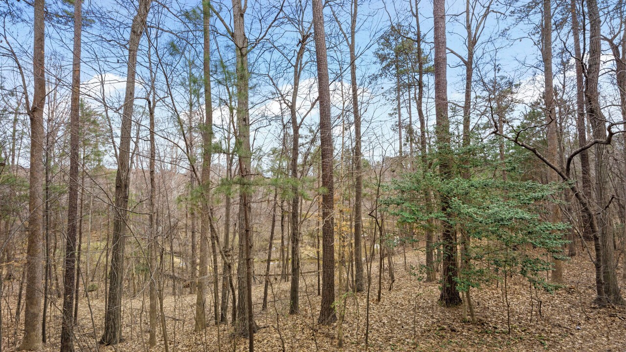 Photo of Others in Southwest Raleigh