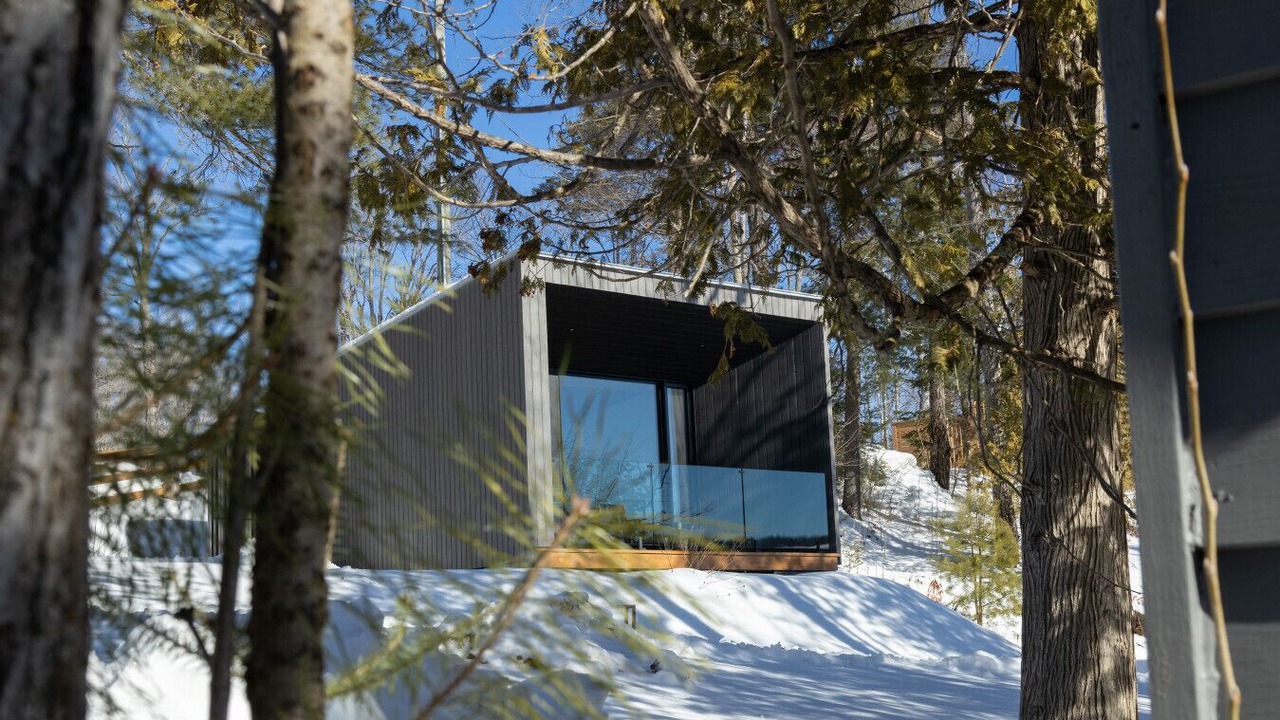 Photo of Outdoor in Algonquin Highlands