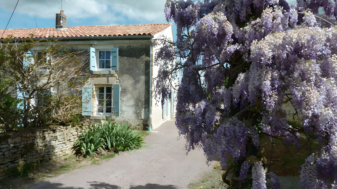 Photo of Outdoor in Montreuil