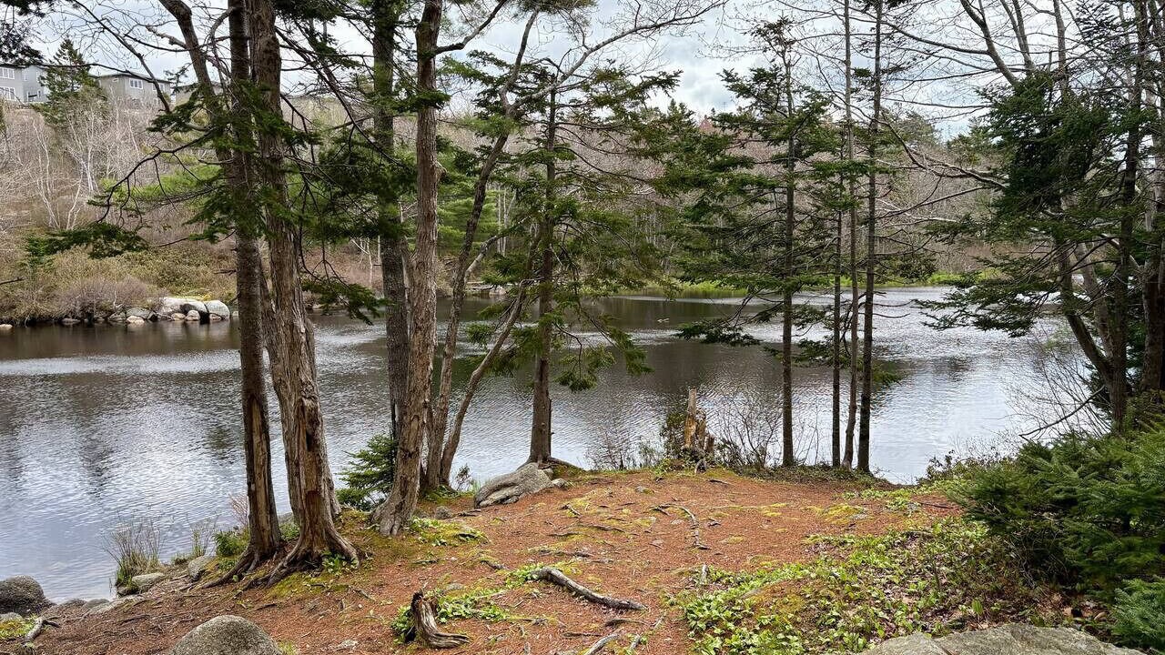 Photo of Others in Halifax