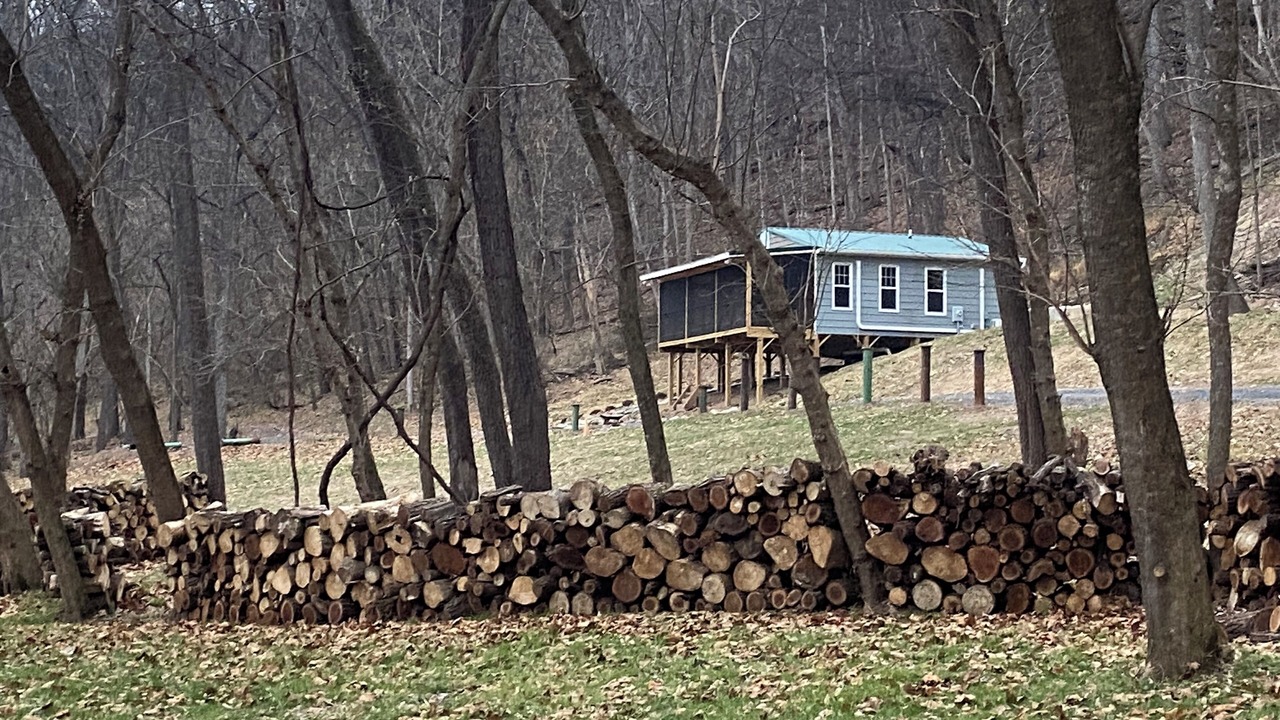Photo of Others in Woodstock