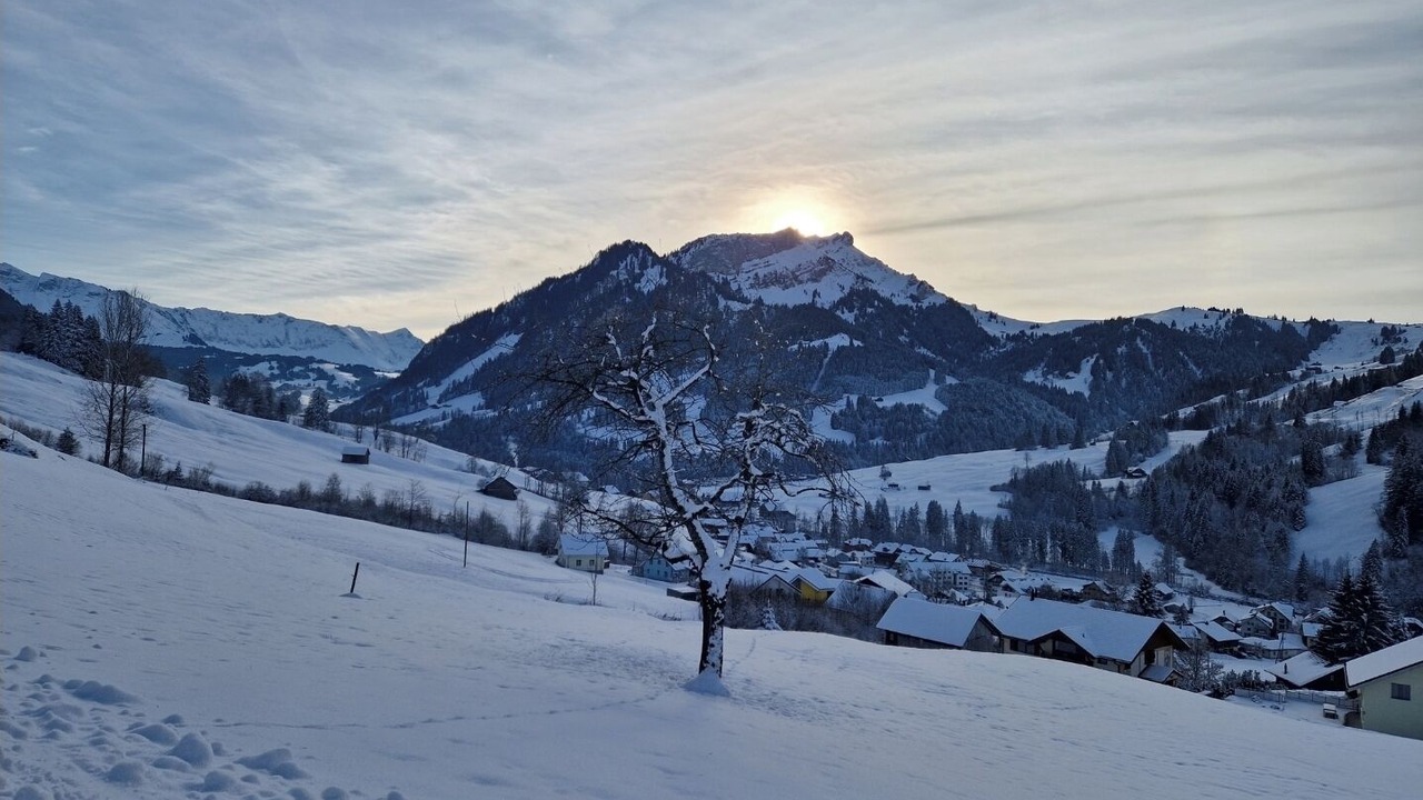 Photo of Others in Fluehli