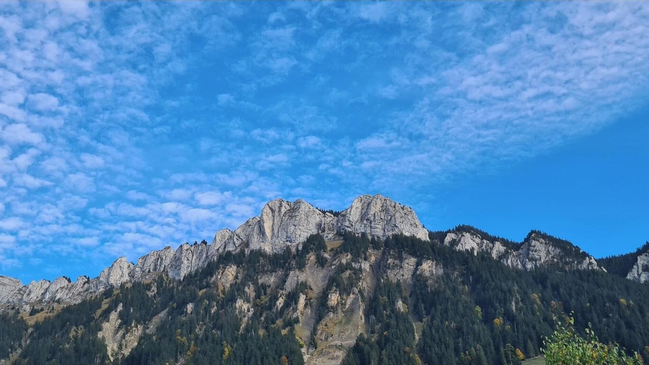 Photo of Others in Fluehli