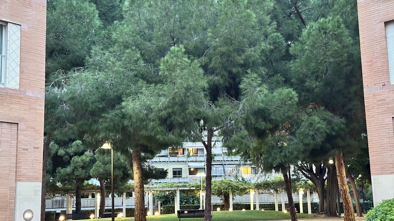 Photo of Outdoor in La Vila Olimpica del Poblenou