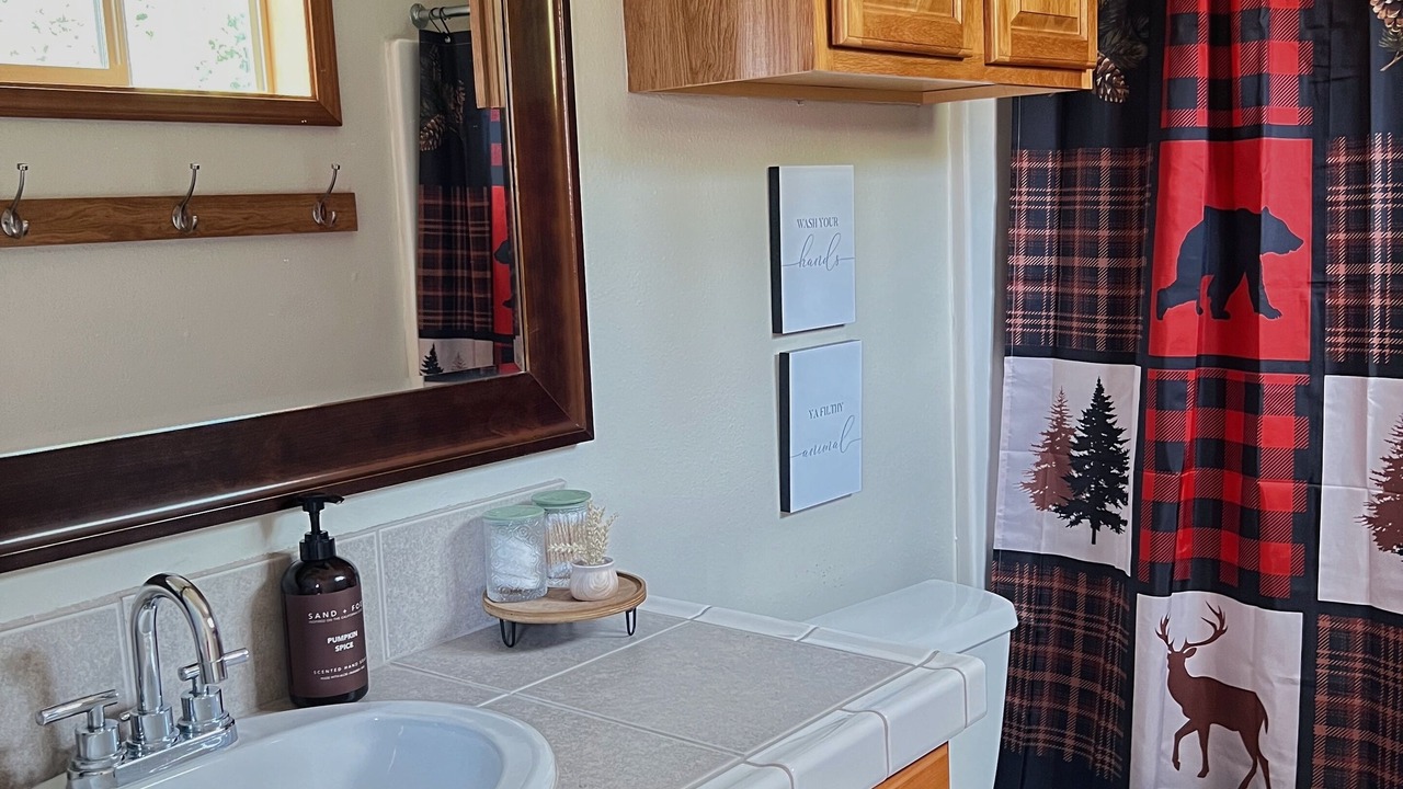 Photo of Bathroom in Mossyrock