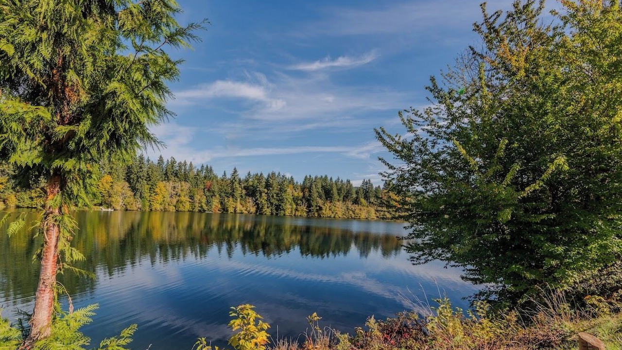 Photo of Others in Mossyrock