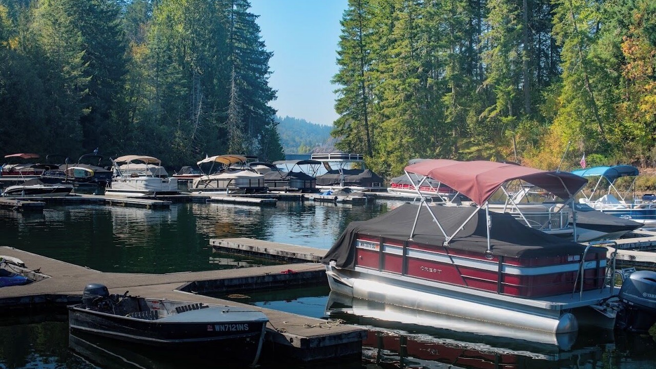 Photo of Others in Mossyrock