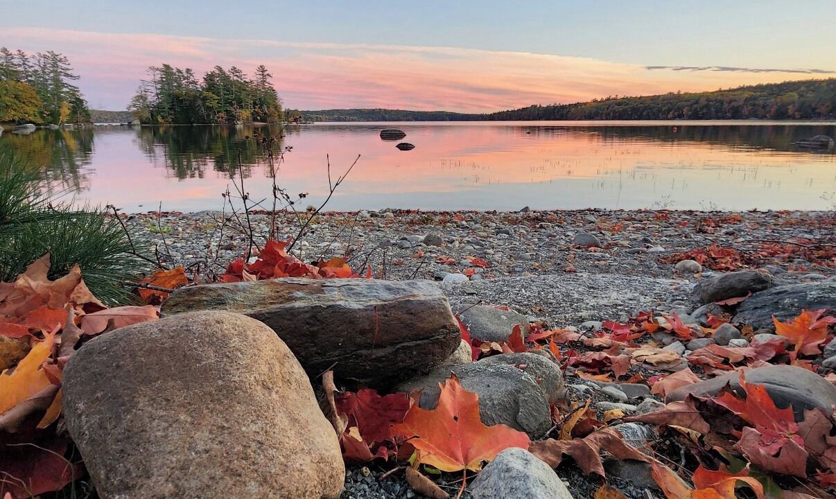 Photo of Others in Orland