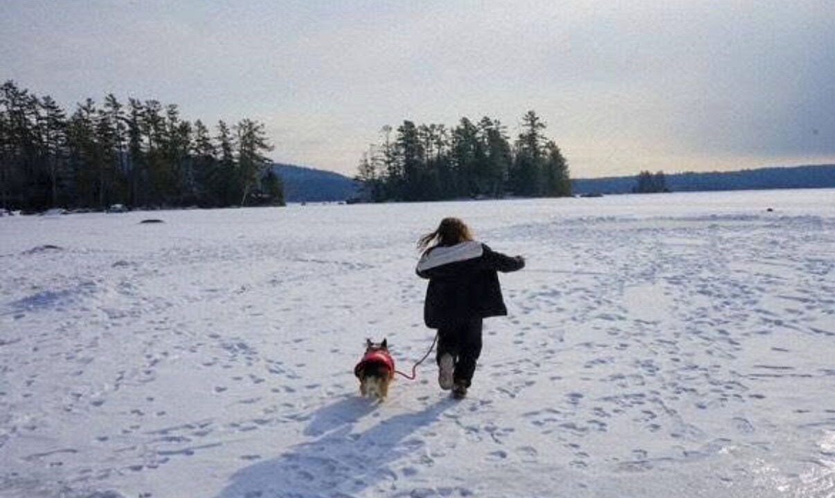 Photo of Others in Orland