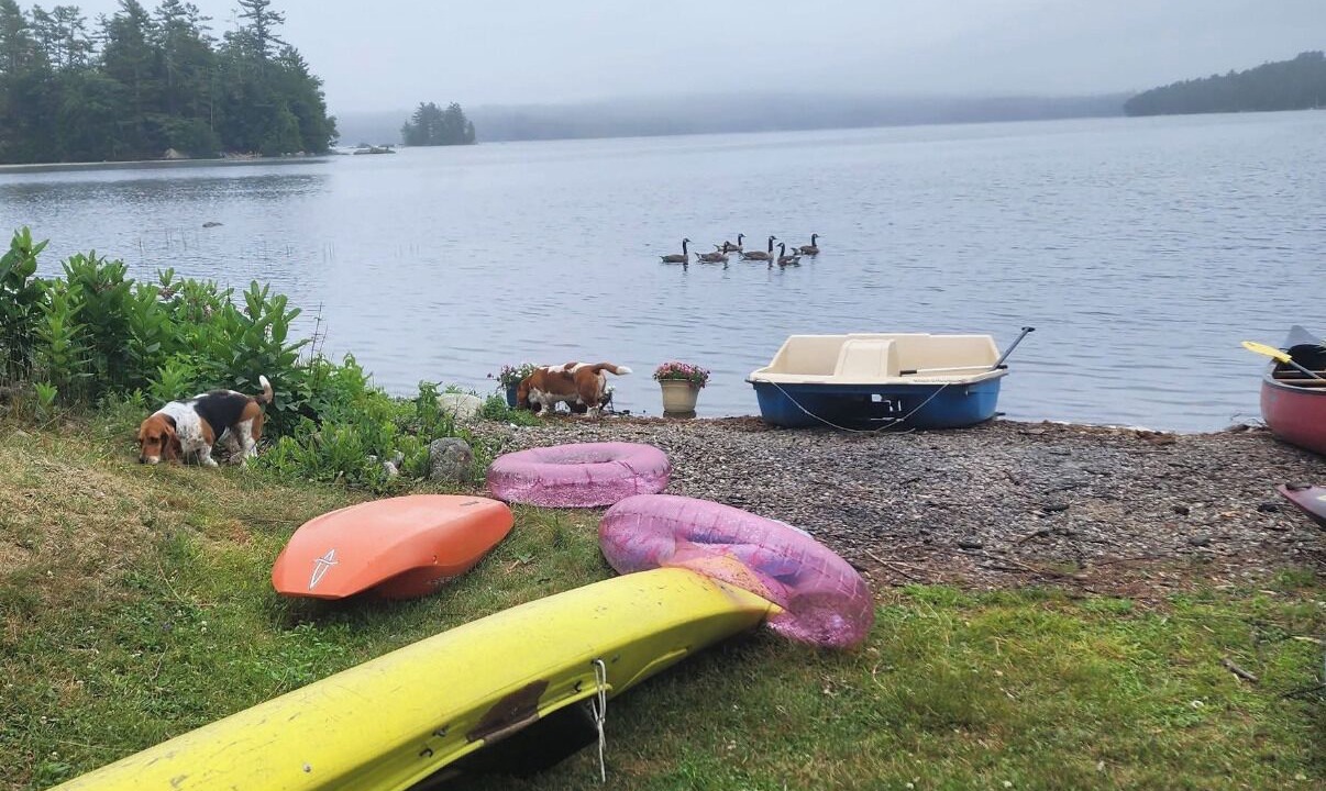 Photo of Others in Orland