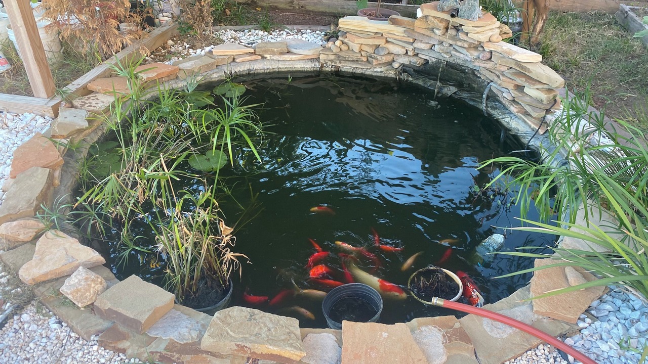 Photo of Outdoor in Rosenberg