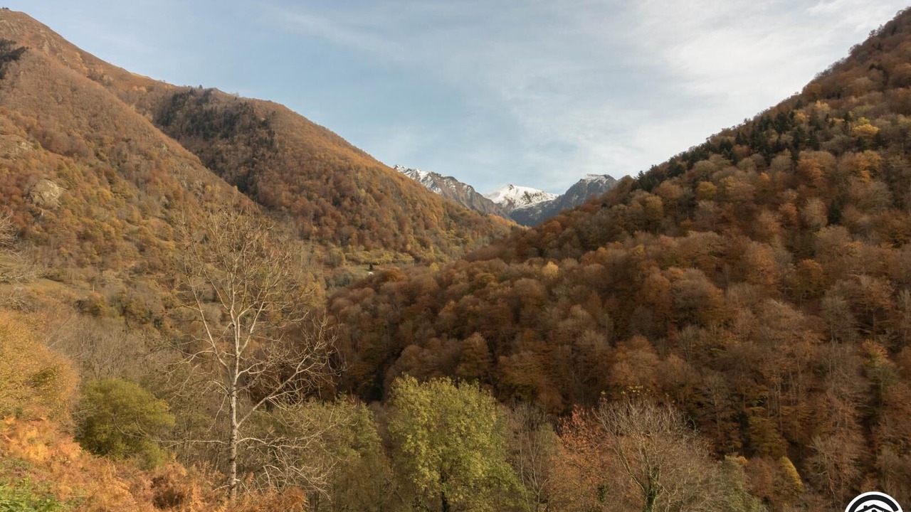 Photo of Others in Melles