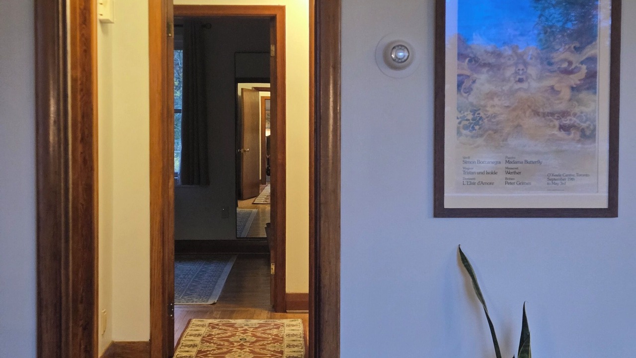 Photo of Others in Kingston