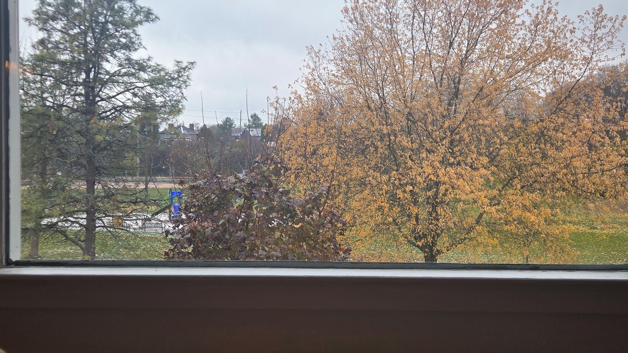 Photo of Others in Kingston