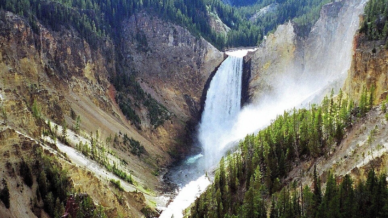 Photo of Others in West Yellowstone