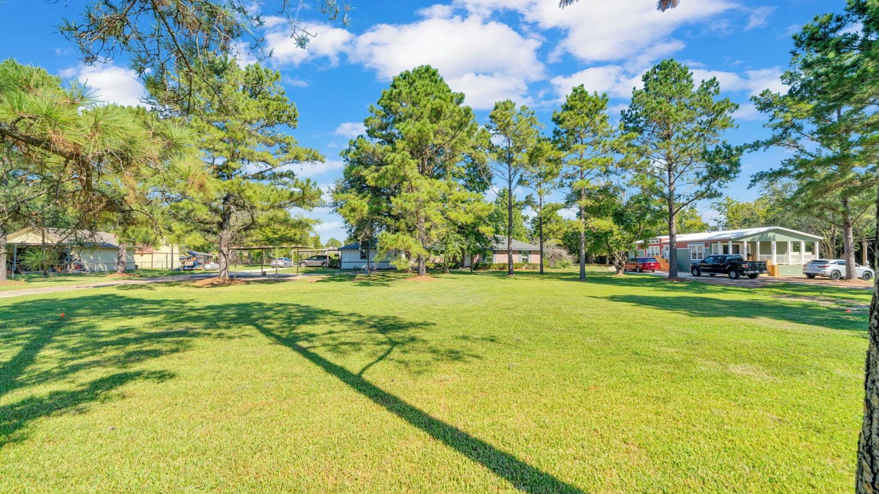 Photo of Outdoor in Manvel