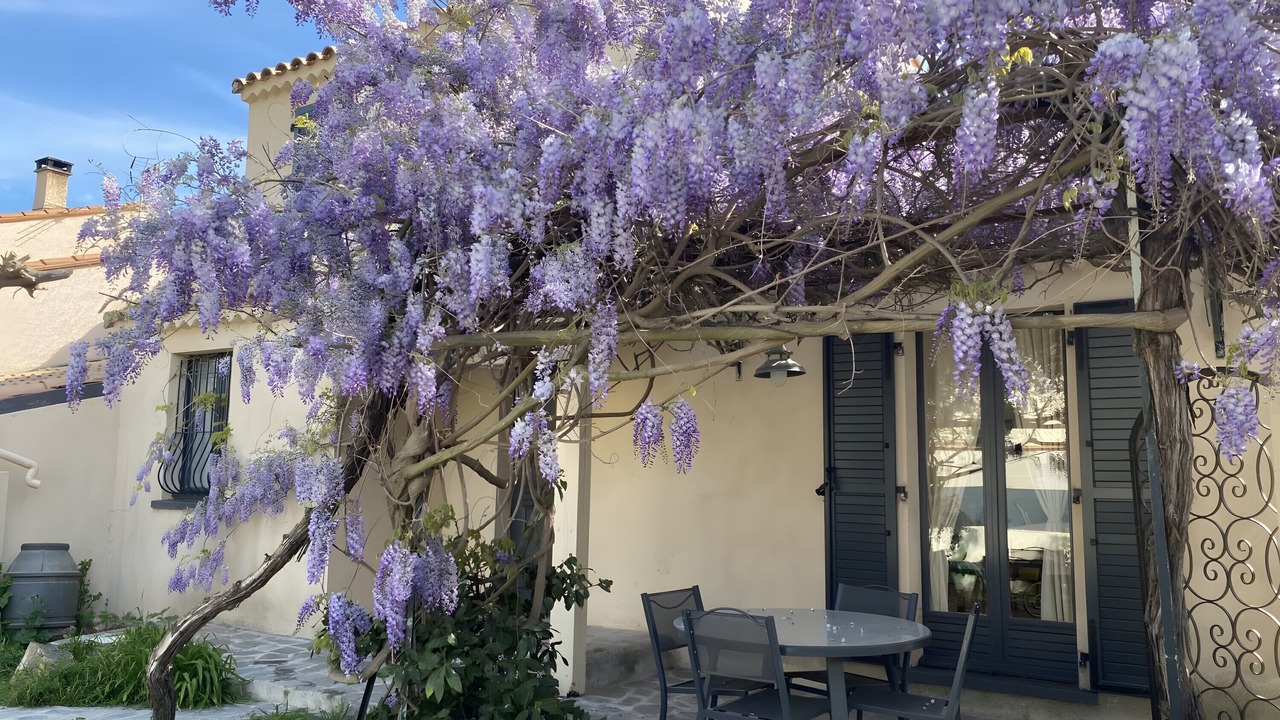 Photo of Outdoor in Villelongue-de-la-Salanque