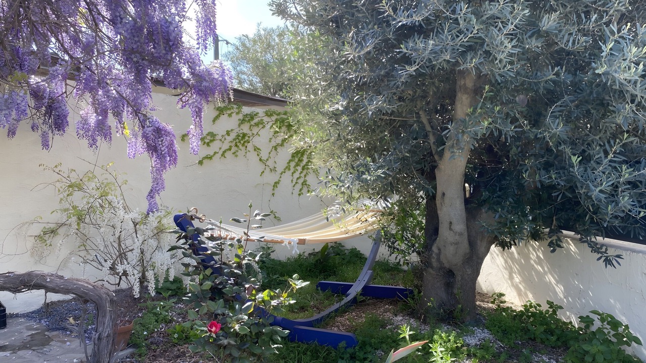 Photo of Outdoor in Villelongue-de-la-Salanque