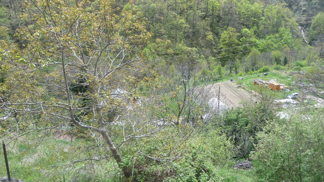 Photo of Others in Fontpedrouse