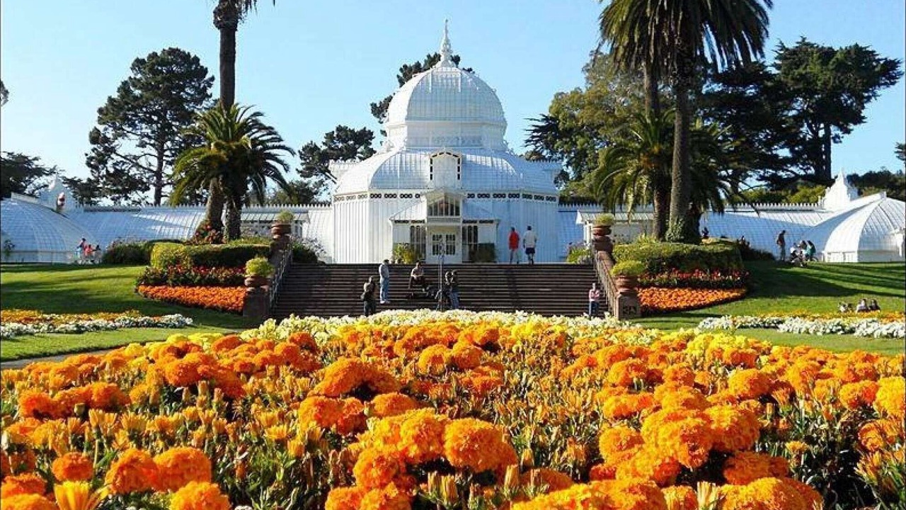 Photo of Others in Millbrae