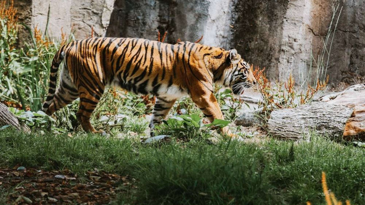 Photo of Others in Millbrae