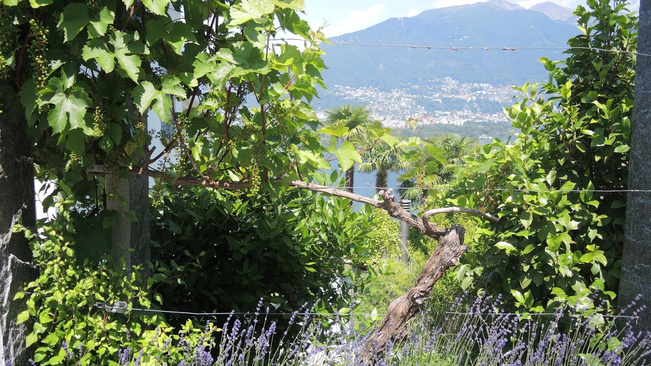 Photo of Outdoor in San Nazzaro