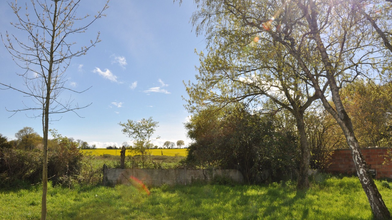 Photo of Others in Challain-la-Potherie