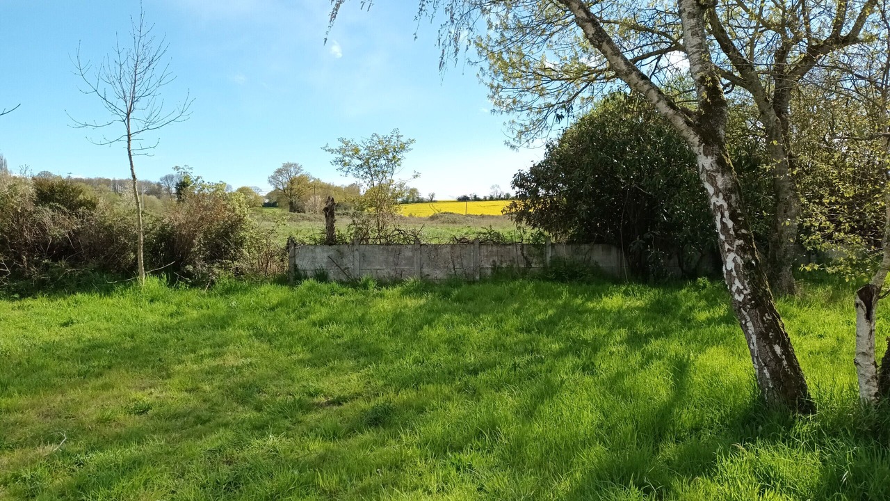 Photo of Outdoor in Challain-la-Potherie