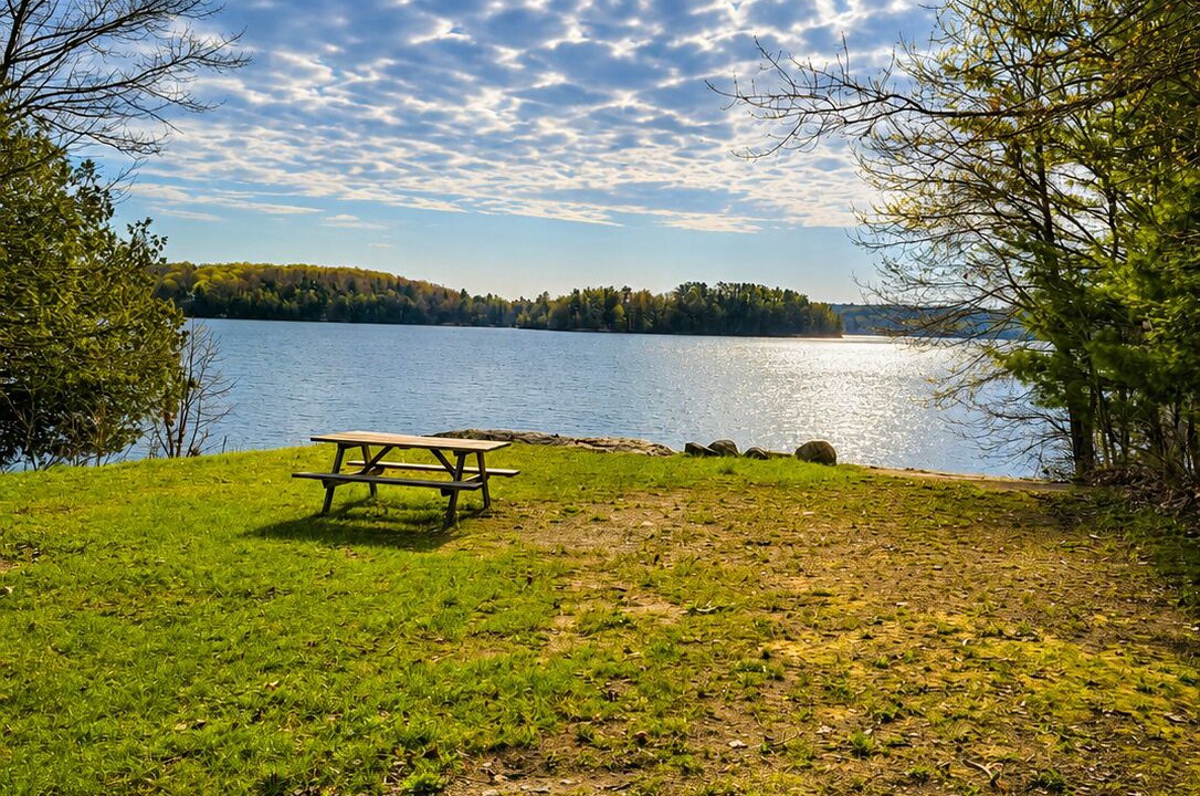 Photo of Outdoor in Muskoka Lakes