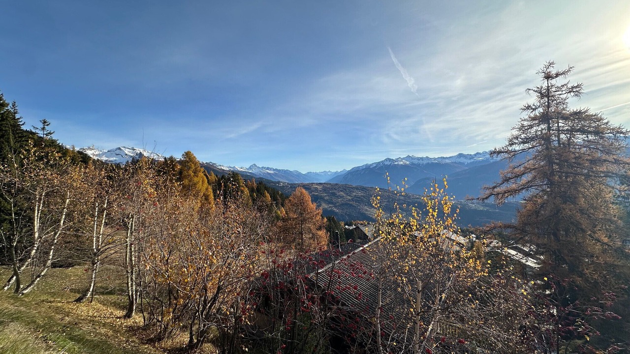 Photo of Others in Monteiller