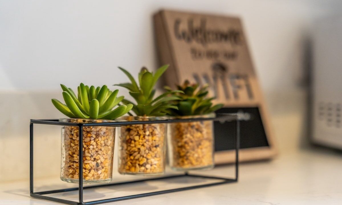 Photo of Others in Newport