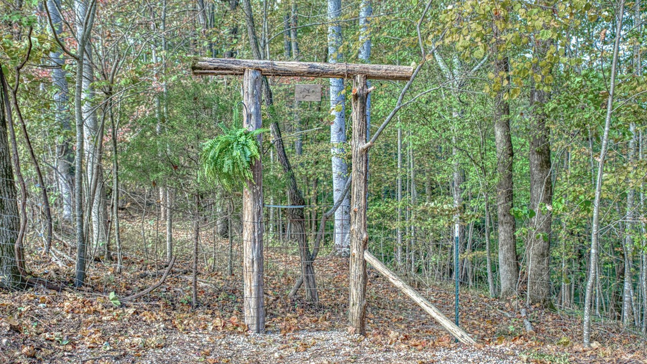 Photo of Others in Chestnut Mound