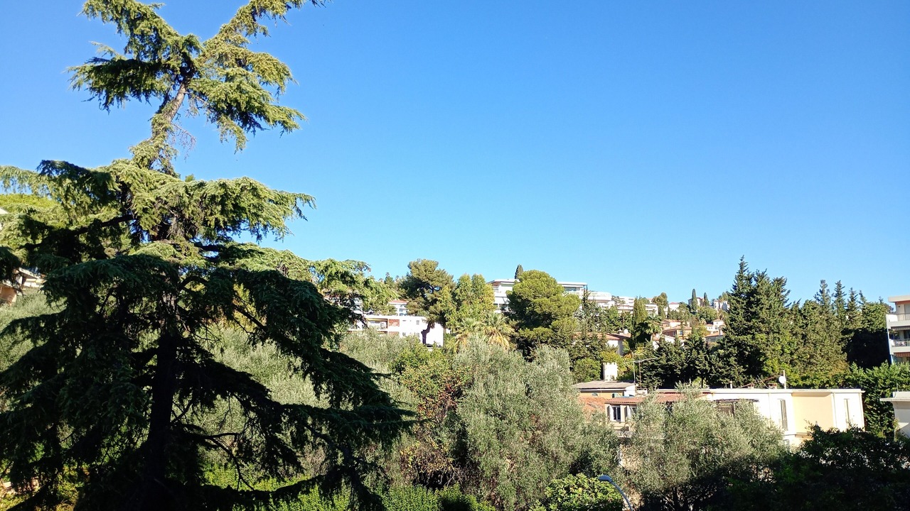 Photo of Others in Fabron