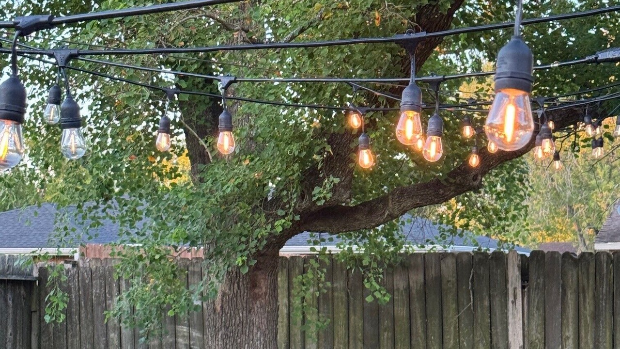 Photo of Outdoor in Friendswood