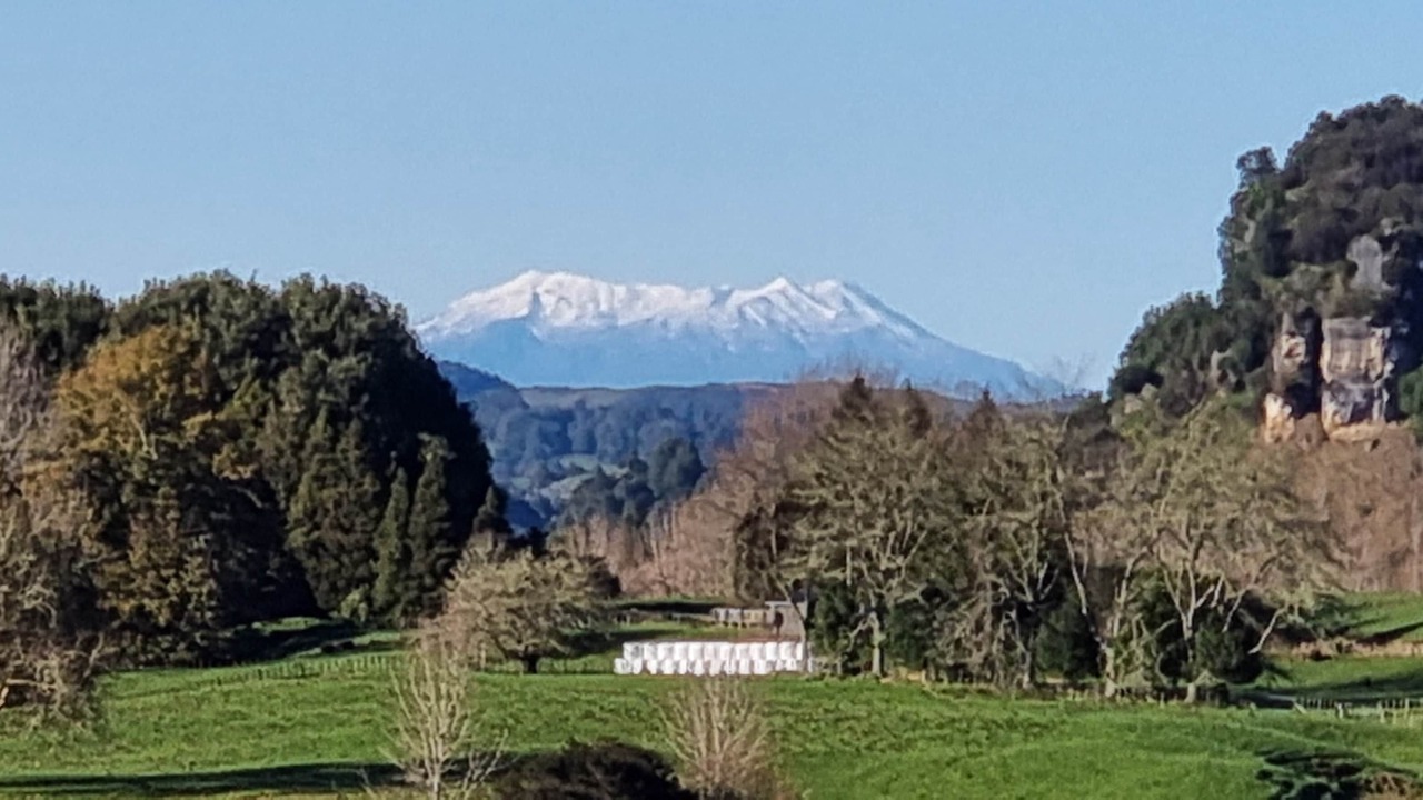 Photo of Others in Waitomo District