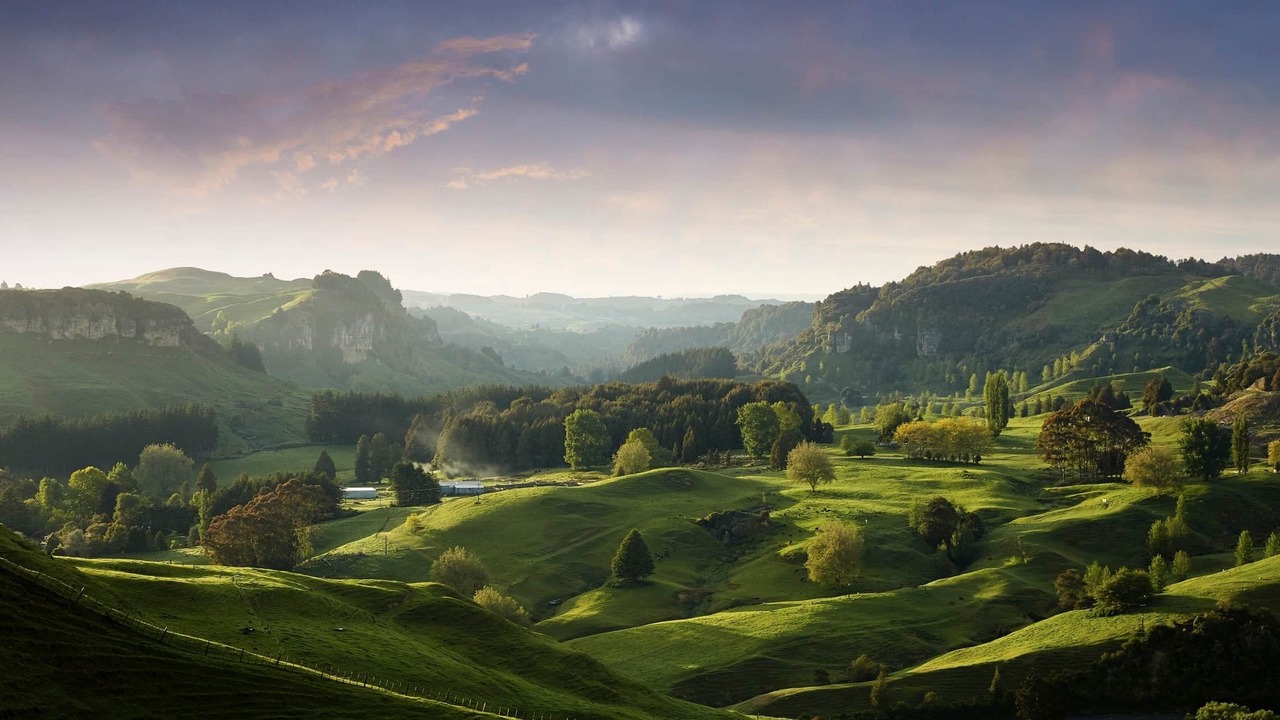 Photo of Others in Waitomo District